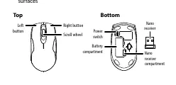 Schemat budowy myszy
