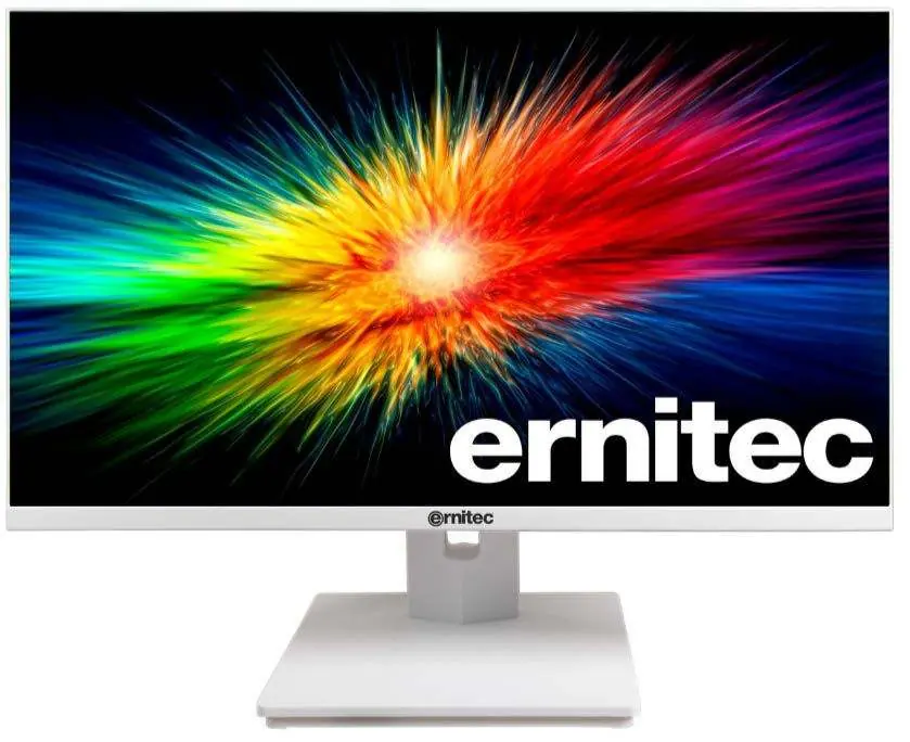 Monitor nadzorczy Ernitec 24"