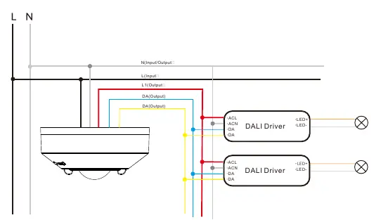 Schemat podłączenia elektrycznego czujnika do sieci i sterowników DALI