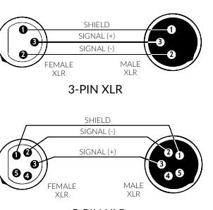 Schemat połączeń XLR 3-pin i 5-pin
