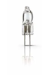Żarówka halogenowa Philips 6605