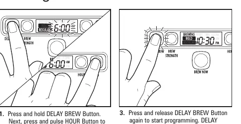 Programowanie funkcji Delay Brew